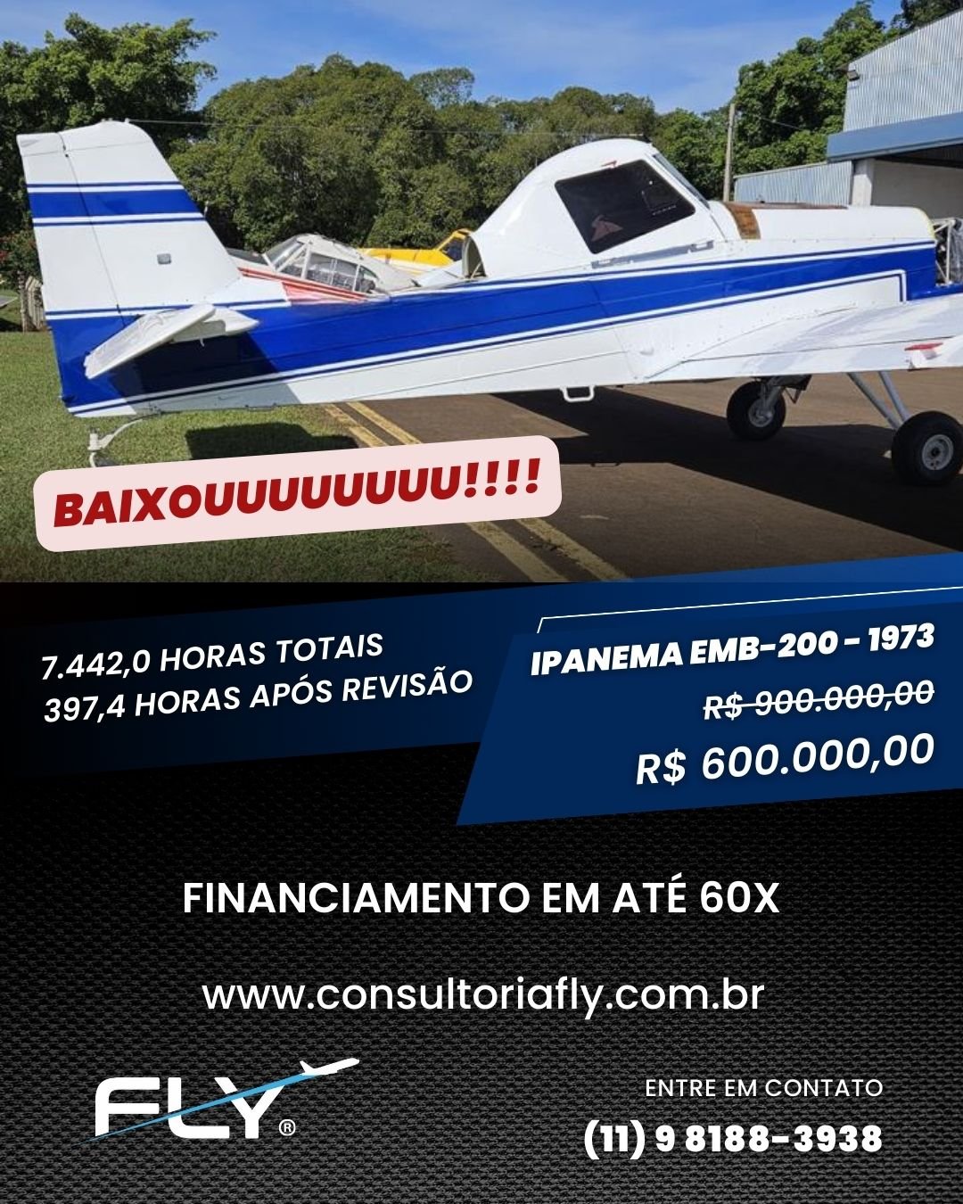 IPANEMA EMB-200 – 1973
